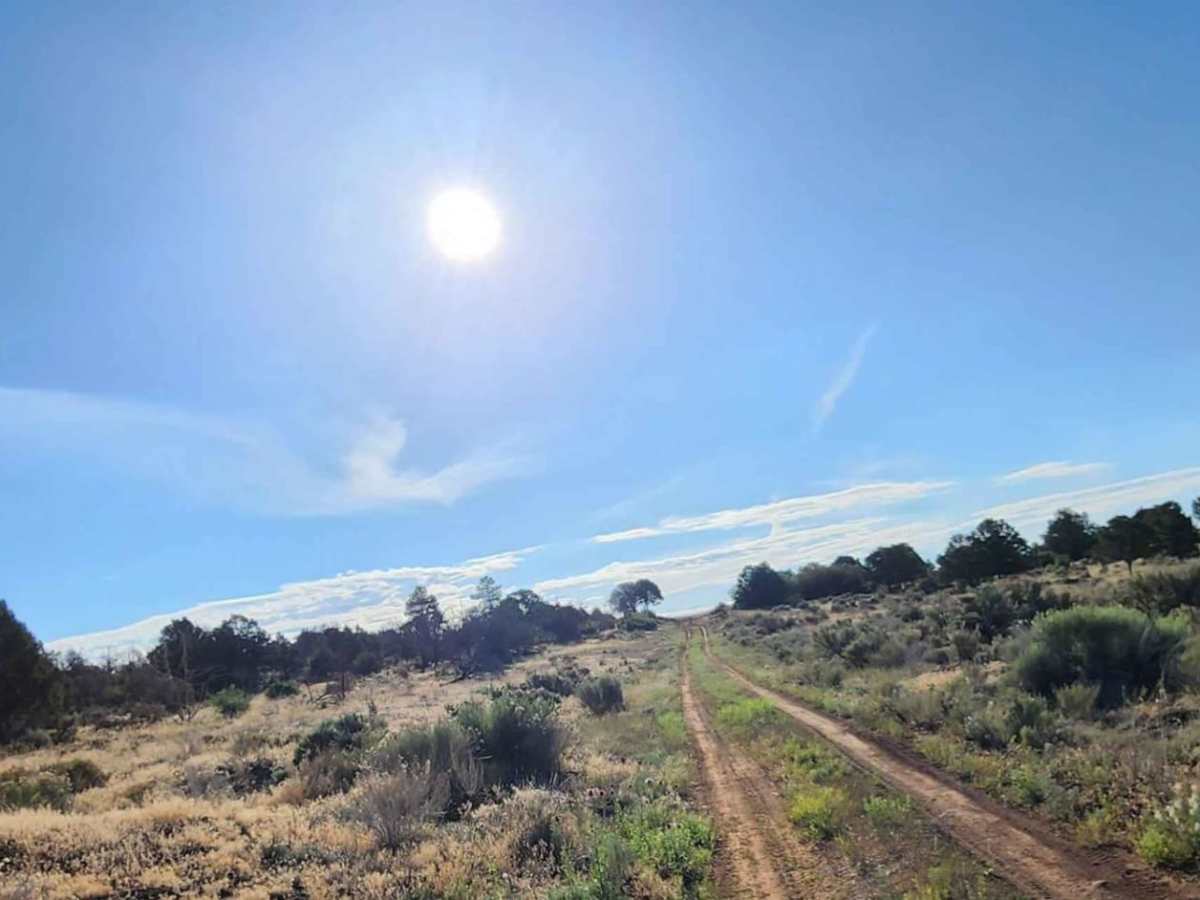Beaver Rim Road photo 5
