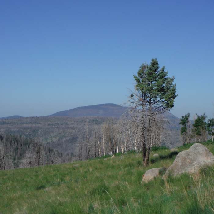 Near Pajarito Ski Hill to Los Alamos North