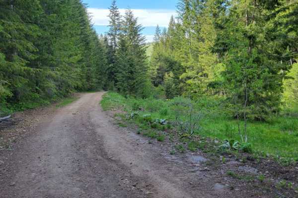 Sheep Canyon 1