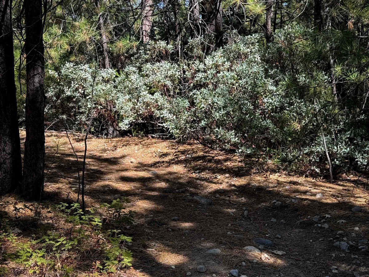 17EV235 photo 6
