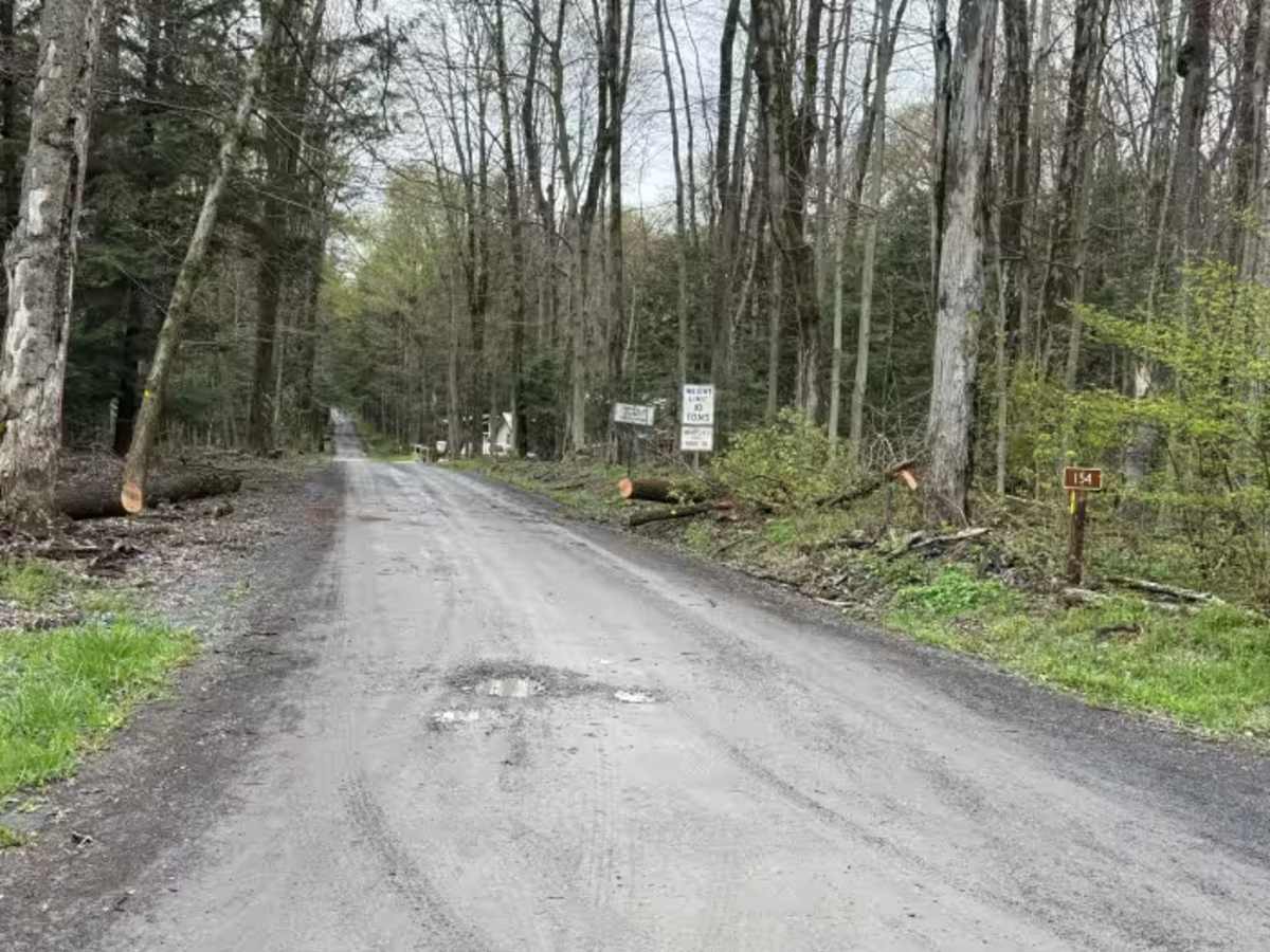 Farnsworth - FS 154 trail photo