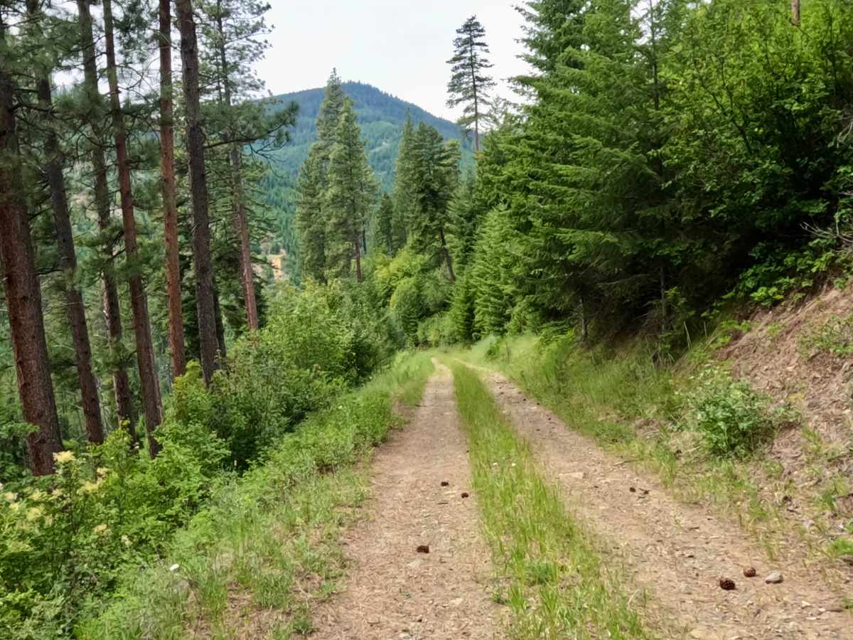 Deep Gulch Route photo 3