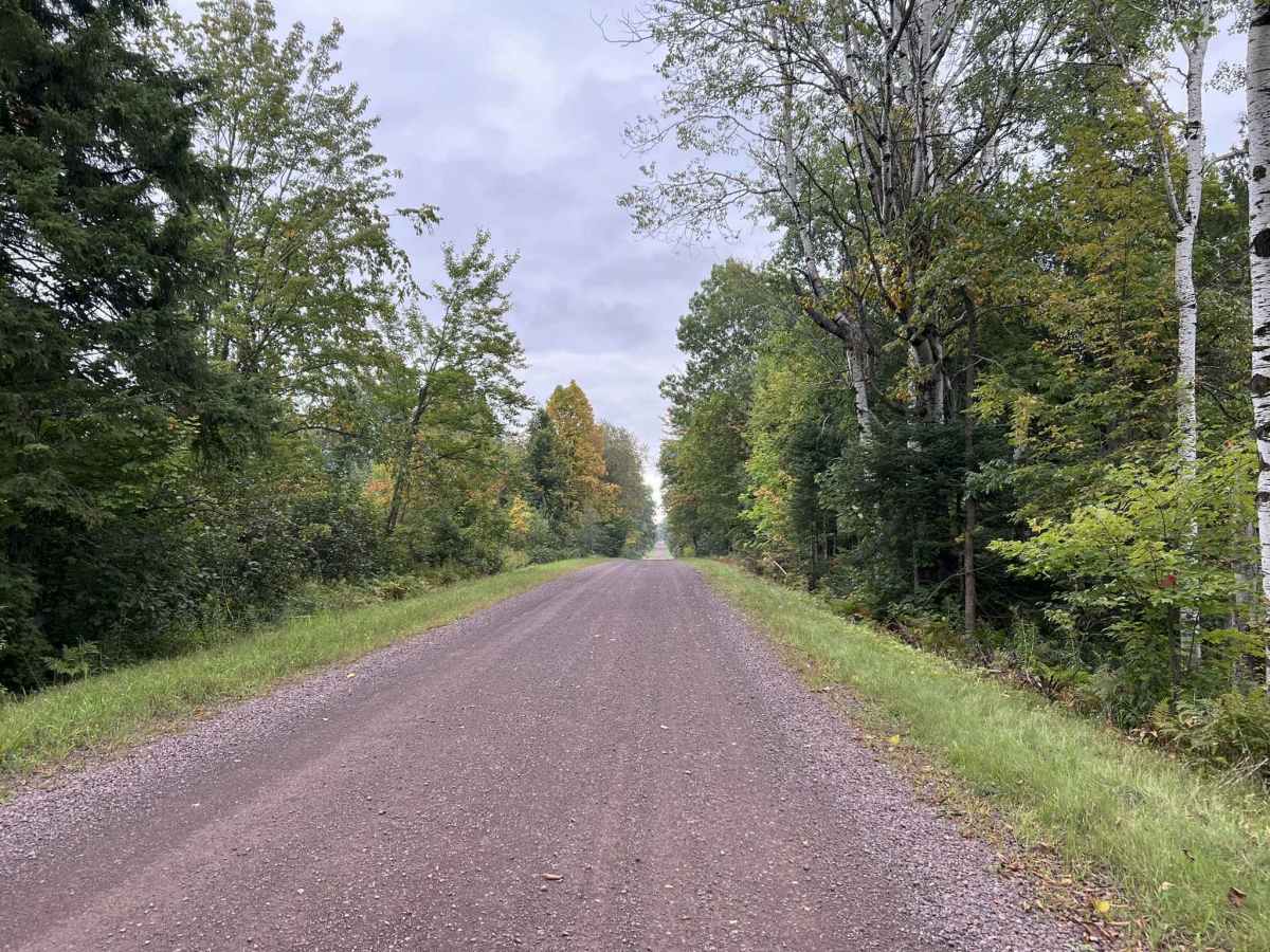 FR 1100, Trail OC photo 3