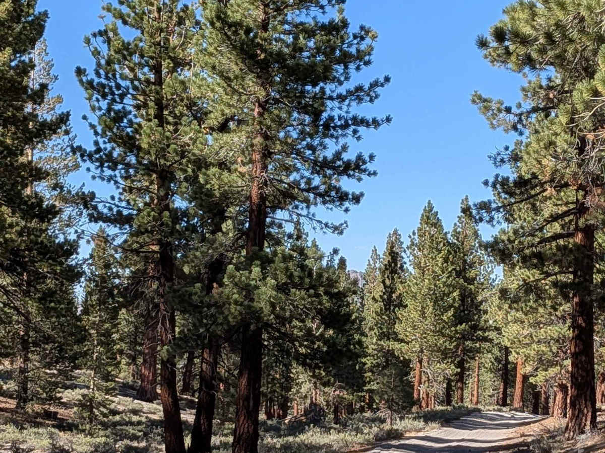 Obsidian Dome Road/Glass Flow Road - NF2S10 photo 4