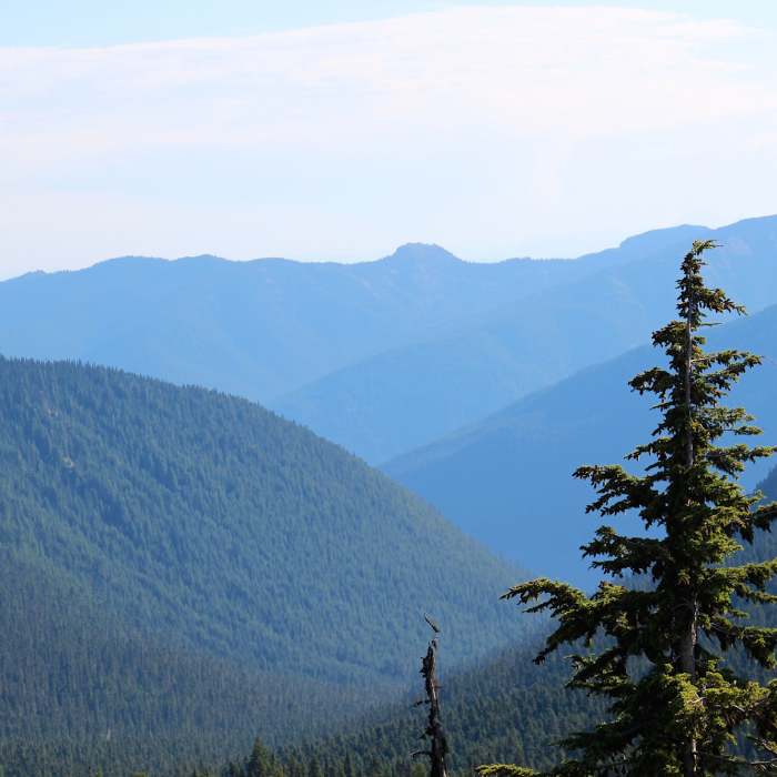 Near Sourdough Ridge
