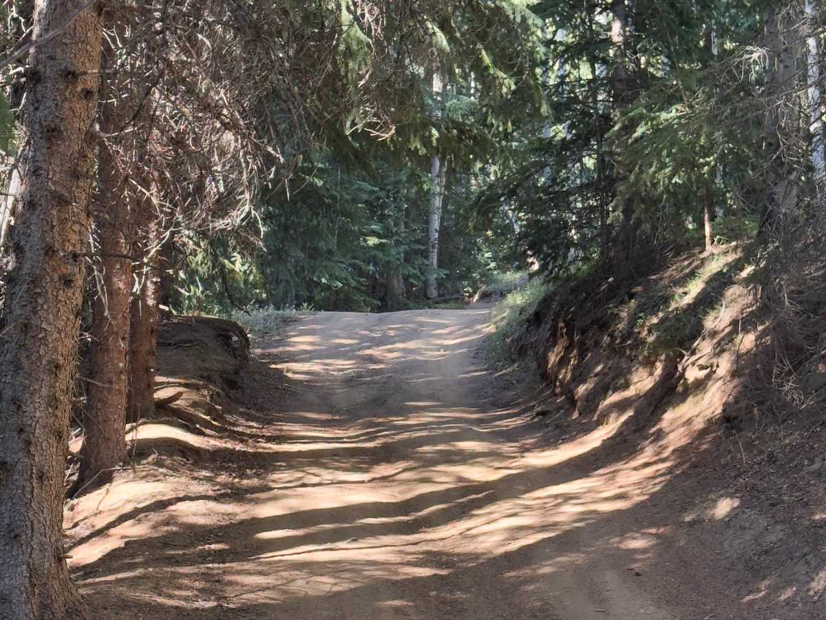 Lower Barbour Fork Road photo 5