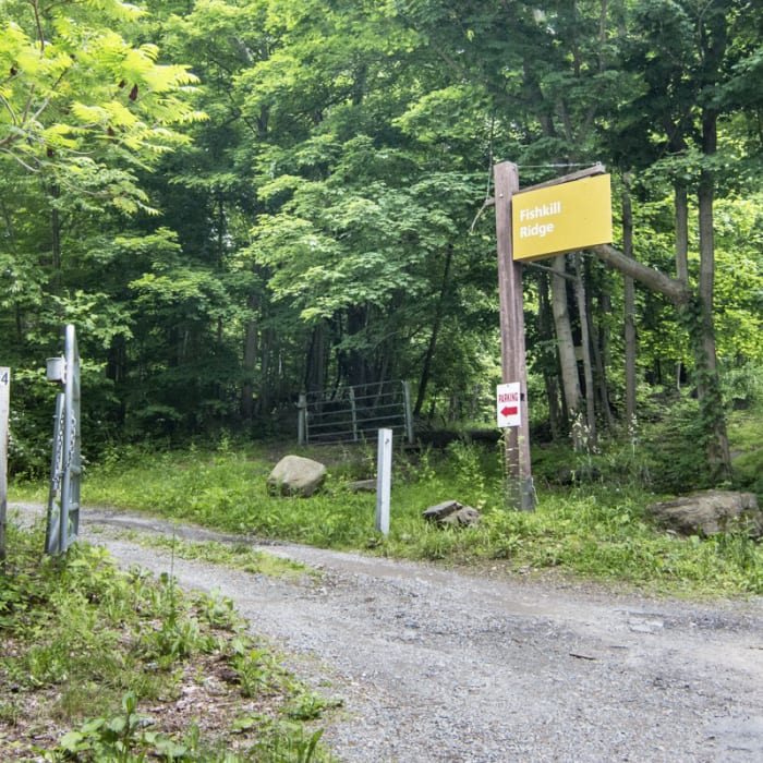 Near Overlook Trail to Lambs Hill