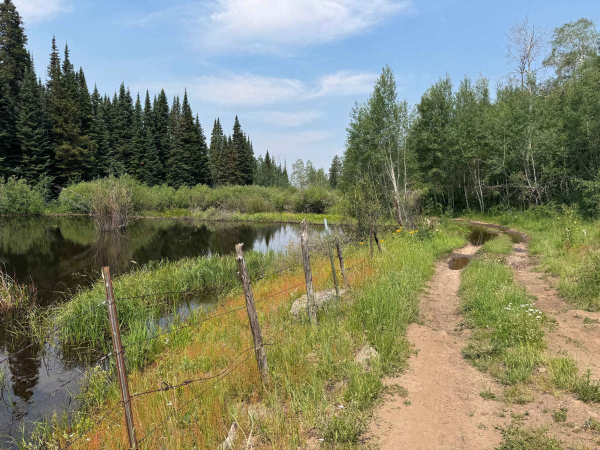 Old Fulford Road - FS 419  trail photo