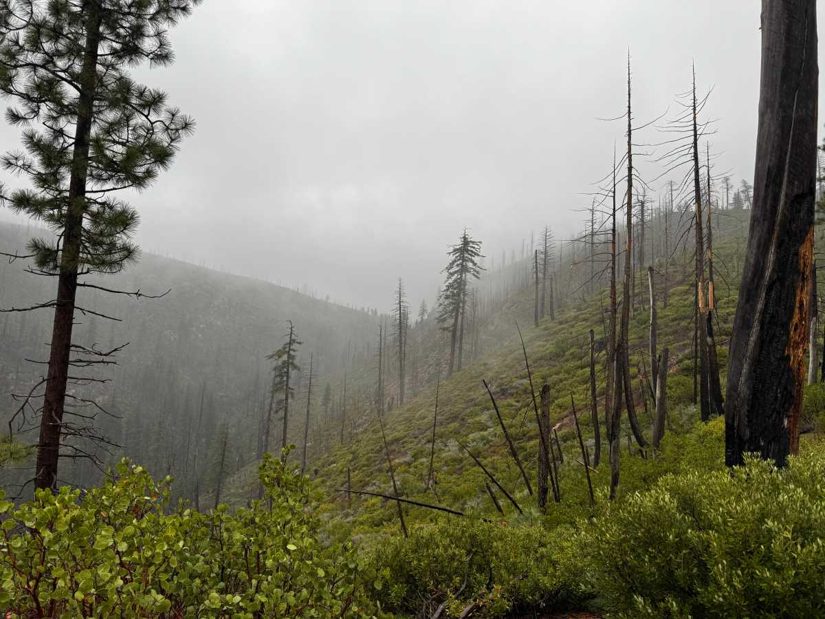 Screwauger Trail photo 6