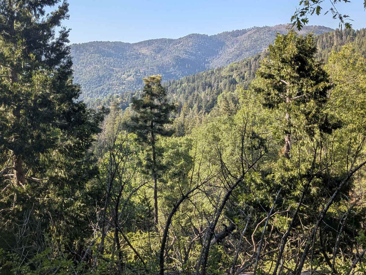 Greenhorn Mountain West - FS 26S01 photo 4