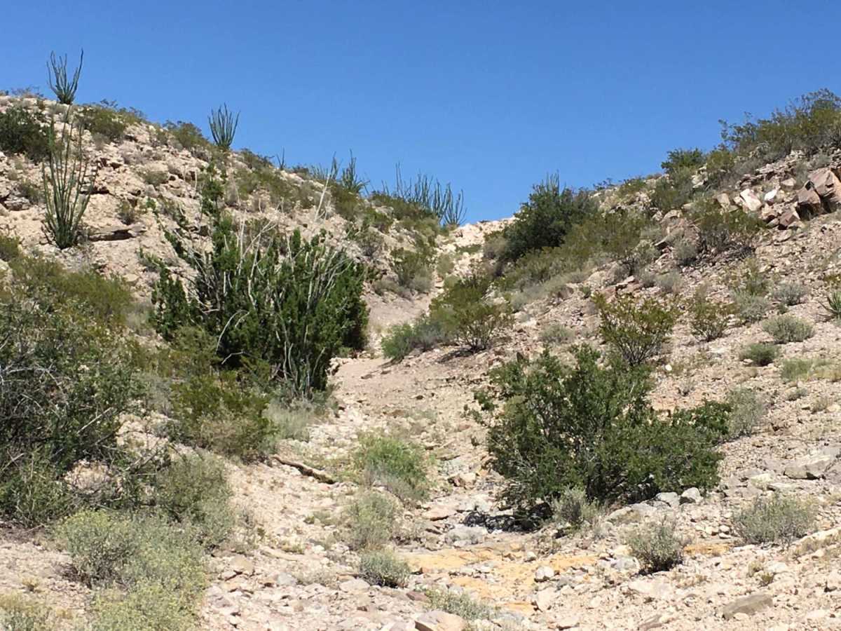 Doug's Dilemma trail photo