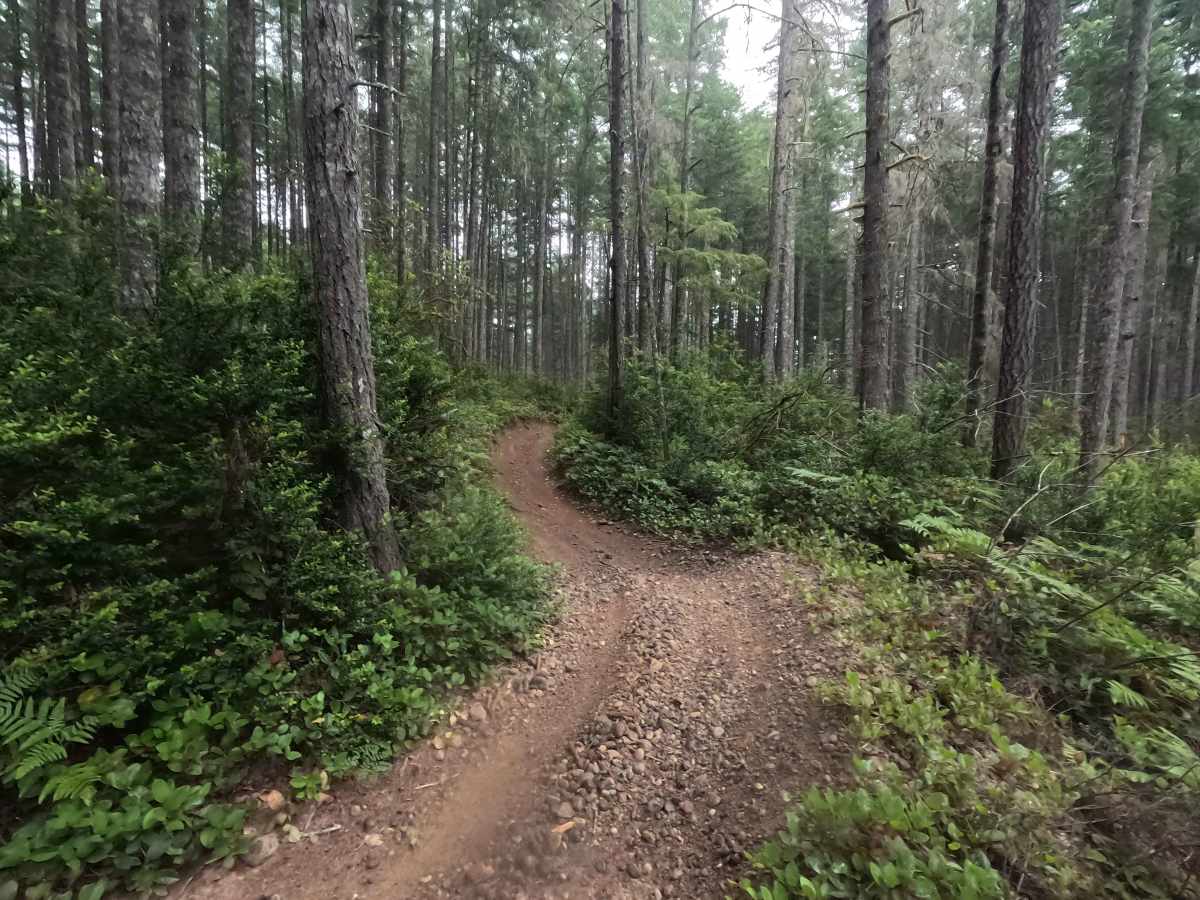 Howell Lake Loop photo 3