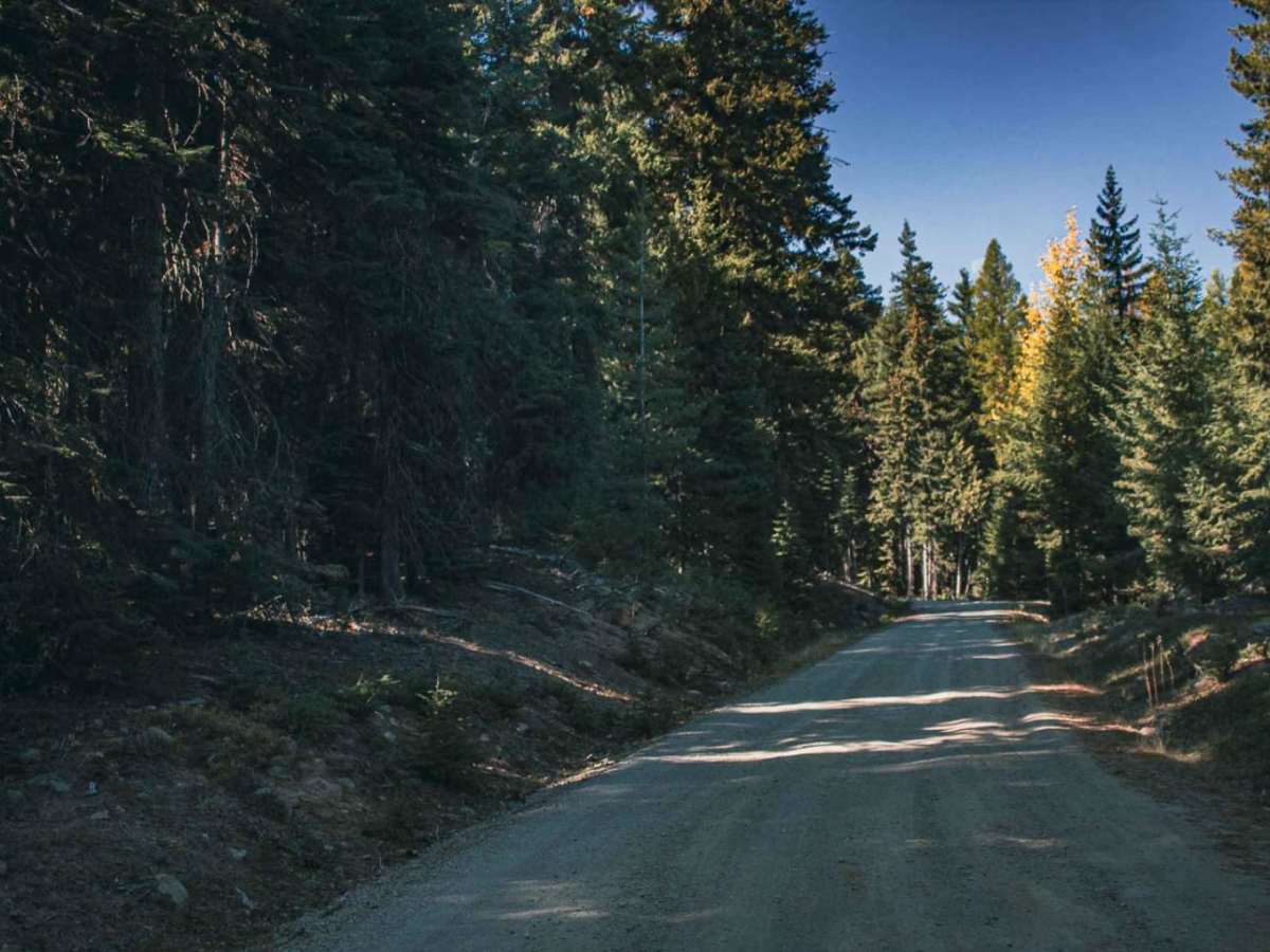 Bear Creek Mountain trail photo