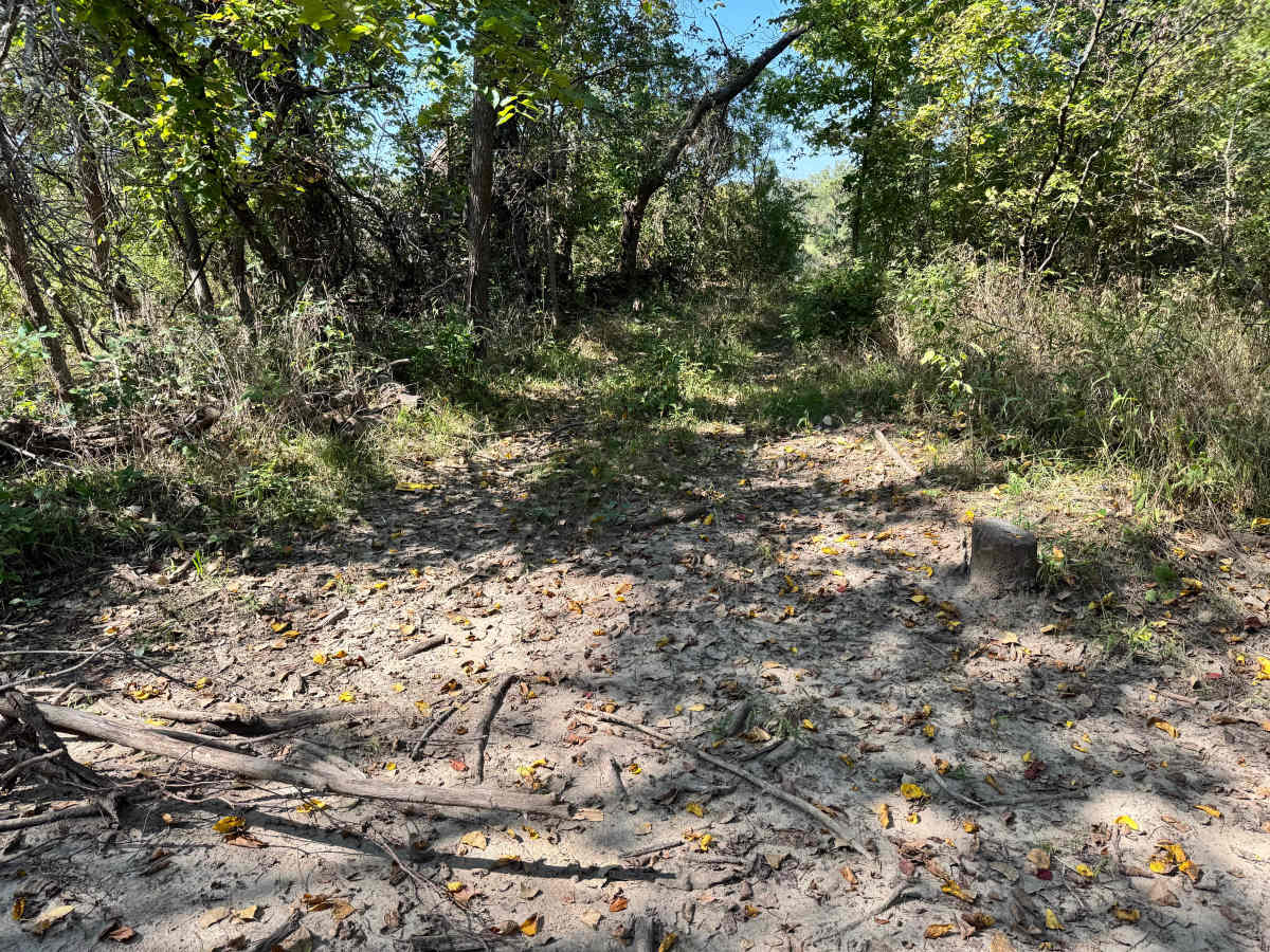 Head Gasket Hill trail photo