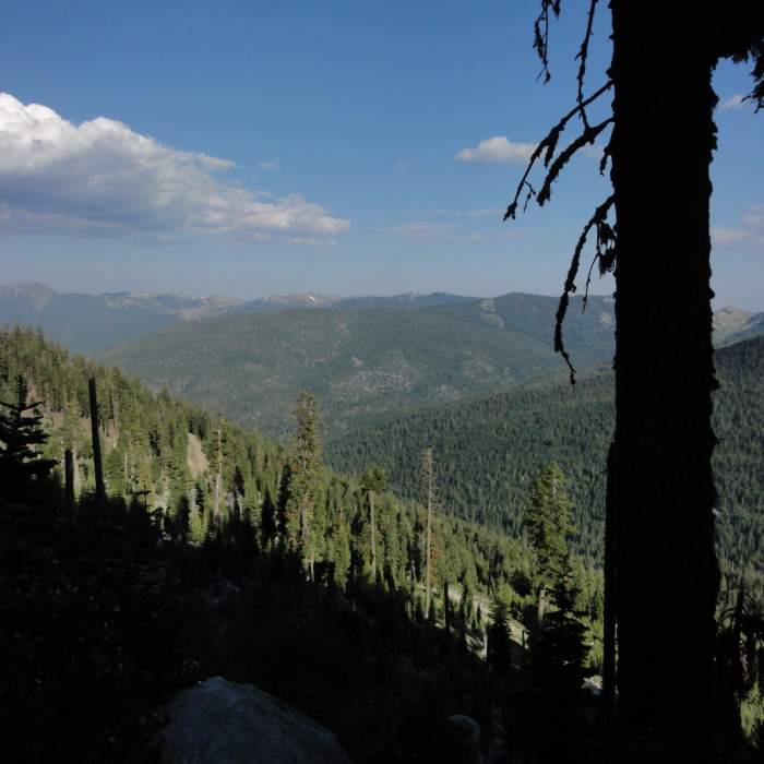 Near Bingham Lake Trail #5583