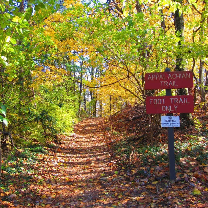 Near Appalachian Trail: South Mountain