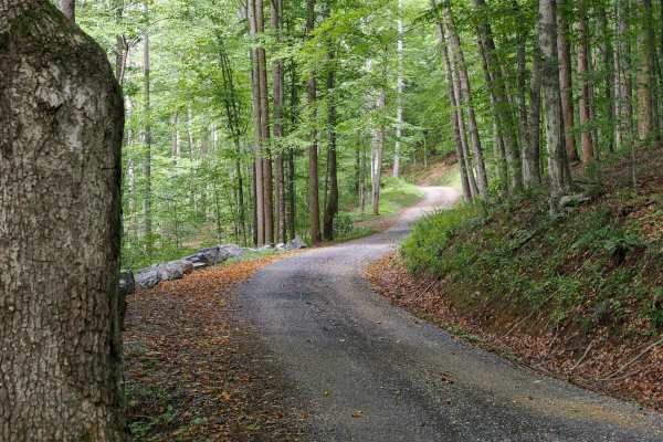 Jordan Road