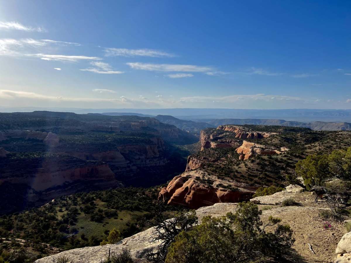 Rattle Snake Canyon photo 4