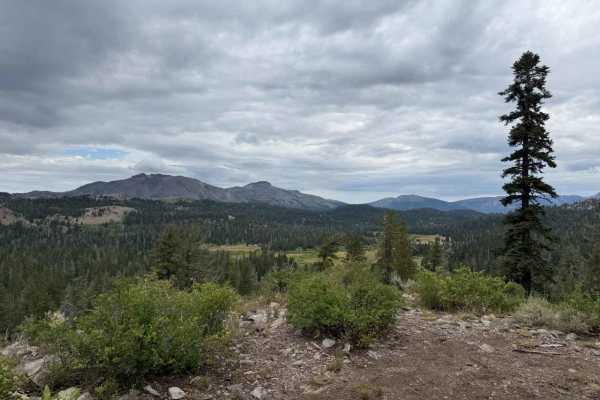 Lower Charity Road - FS 31206