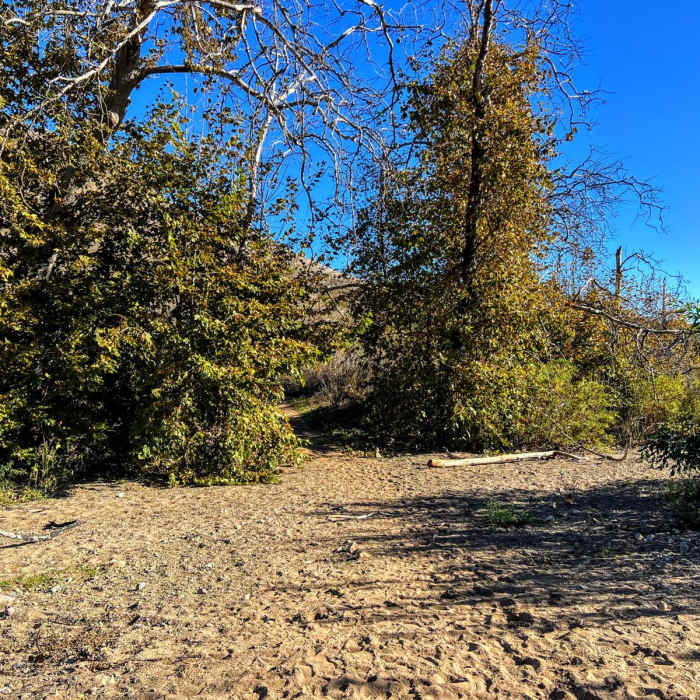 Near Zuma Canyon Trail