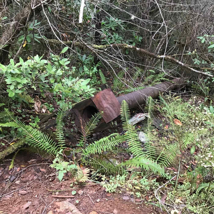 Near Myrtle Creek Trail