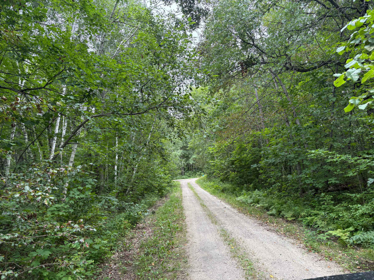 Heart Lake Trail photo 4