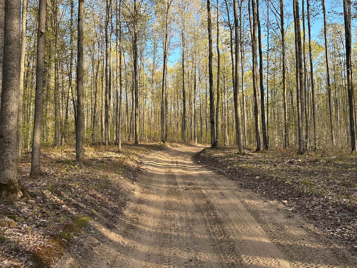 Kalkaska Trail SL photo 5
