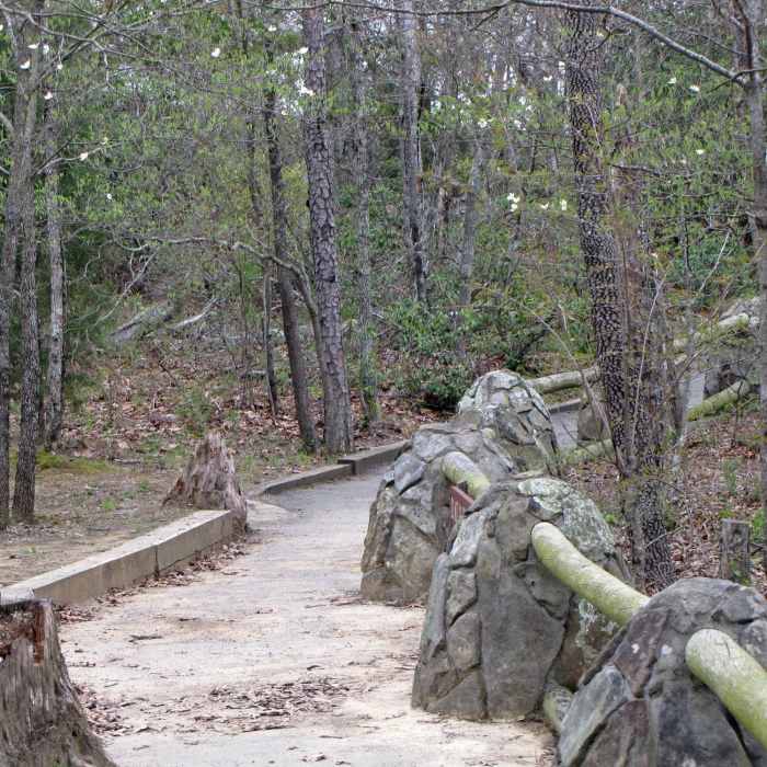 Near West Rim Loop Trail
