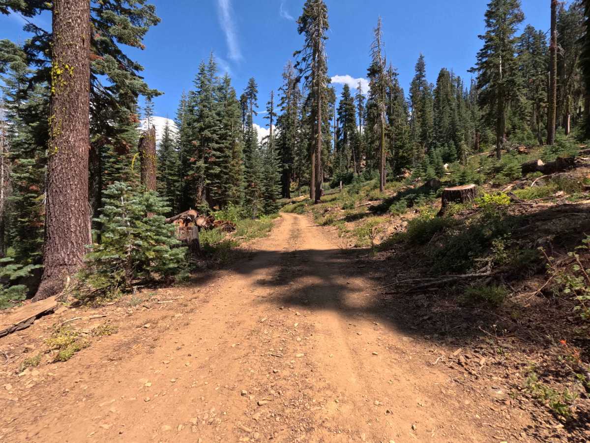 Big Creek Fire Road - South - FS 5S048 photo 5