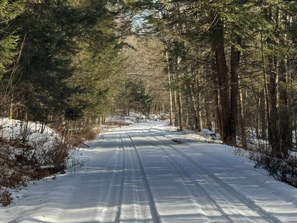 West Branch Road photo 4