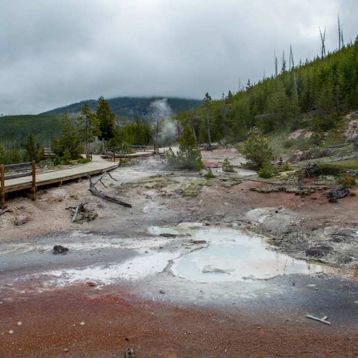 Near Artist Paintpots