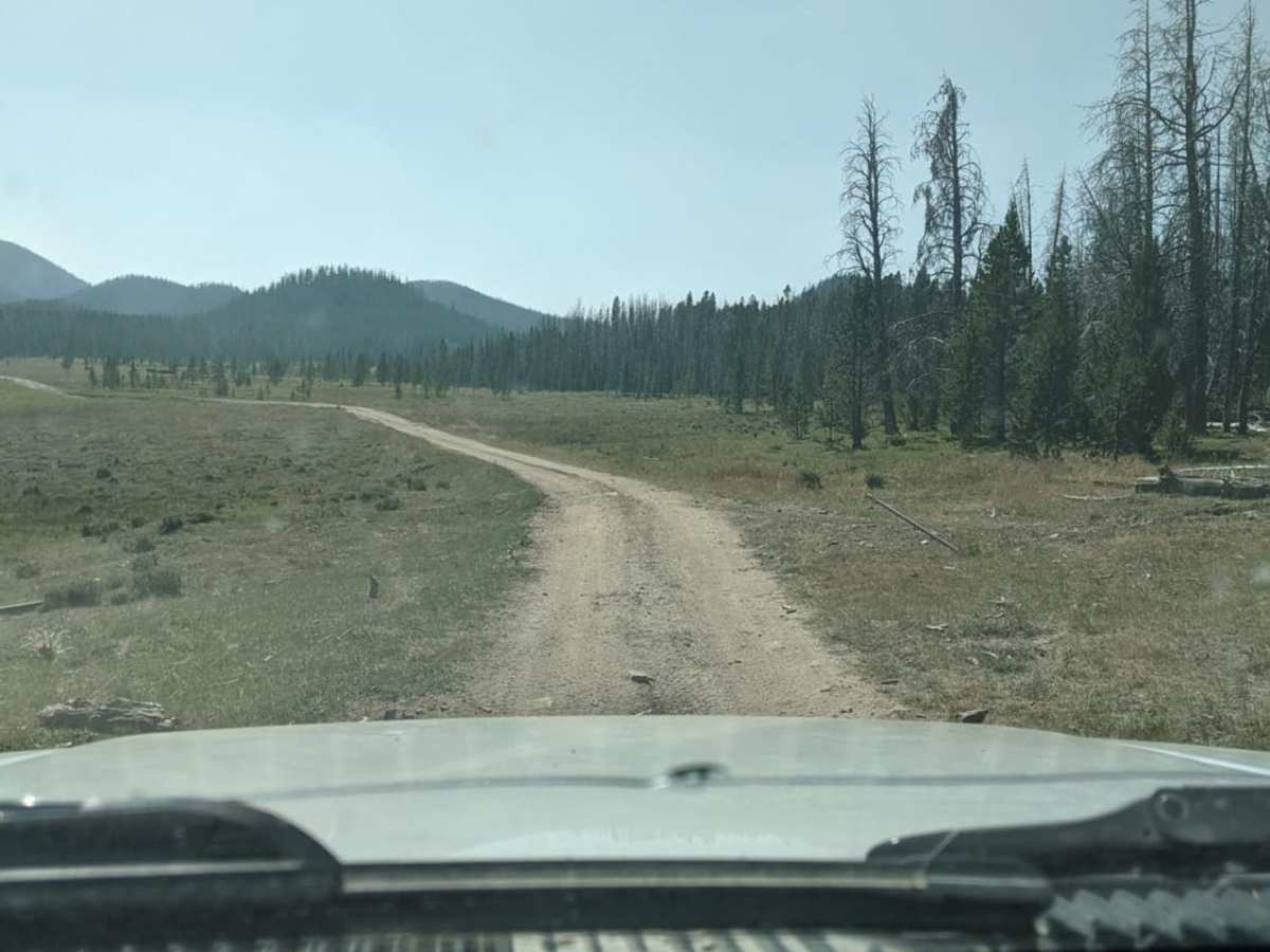 Whitetail Reservoir photo 3