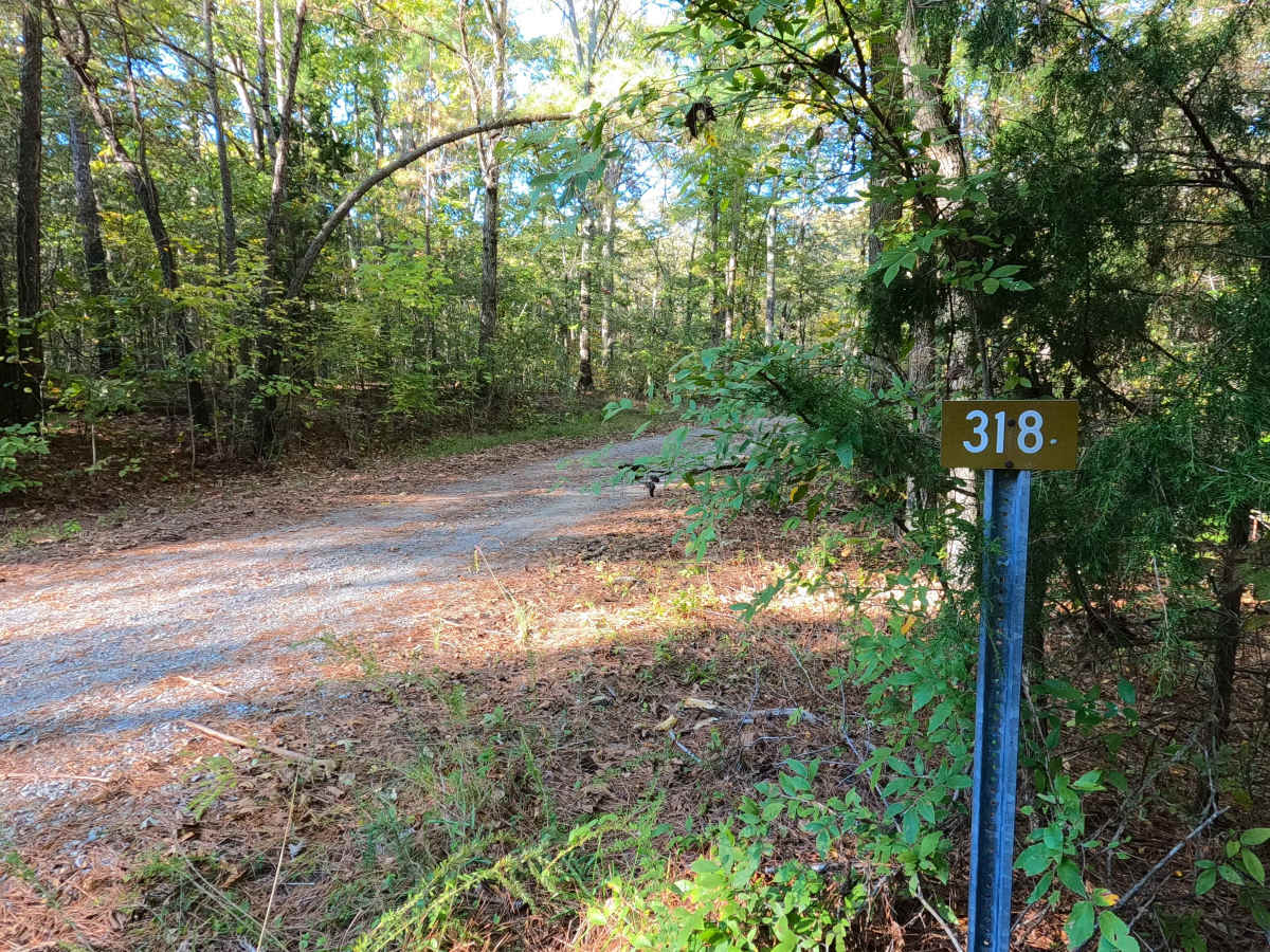 Sugar Creek - FS 318 photo 2