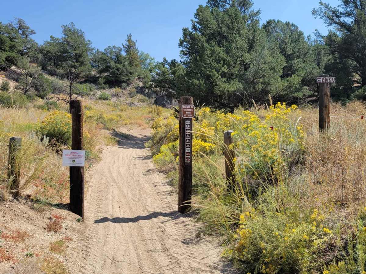 Rock N' Roll 1 (1434 A) trail photo