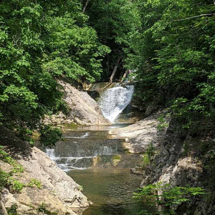 Near Blue Ridge Trail
