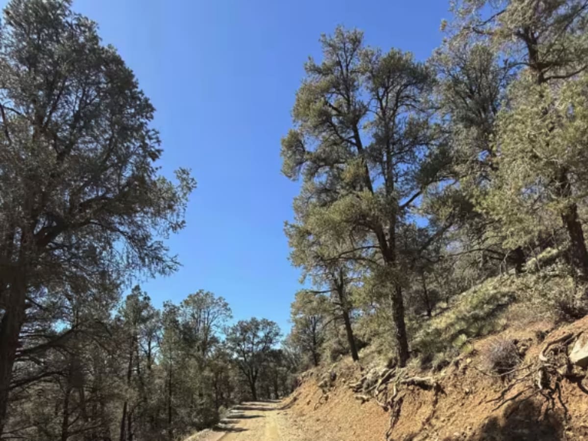 Quatal Canyon photo 2