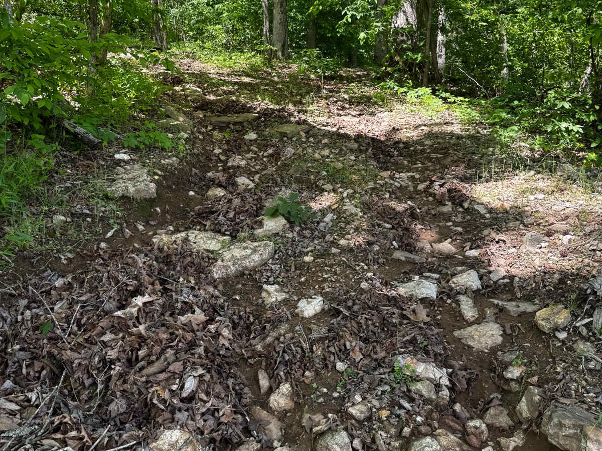 Hillside 70.5 photo 2