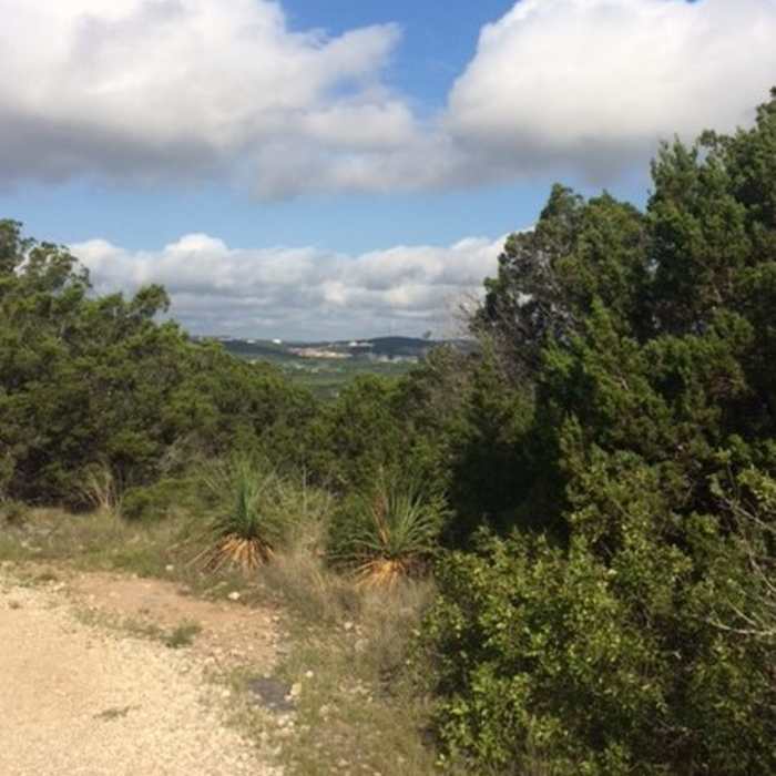 Near Hillview Trail