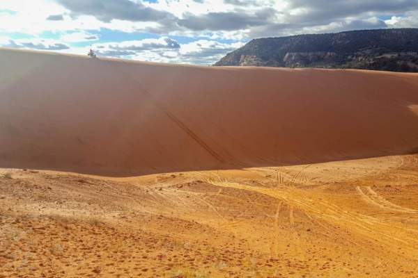 Coral Pink Sand Dunes