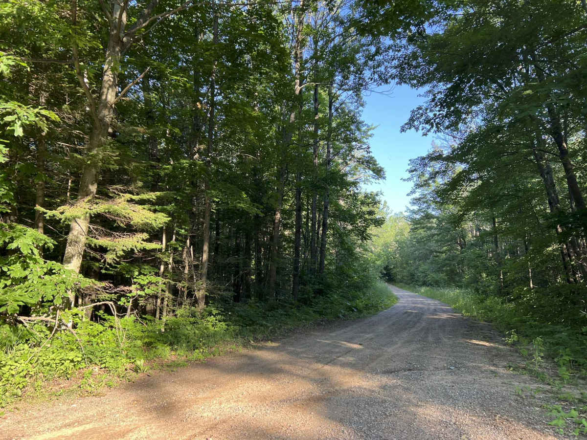 Bug Lake Road trail photo