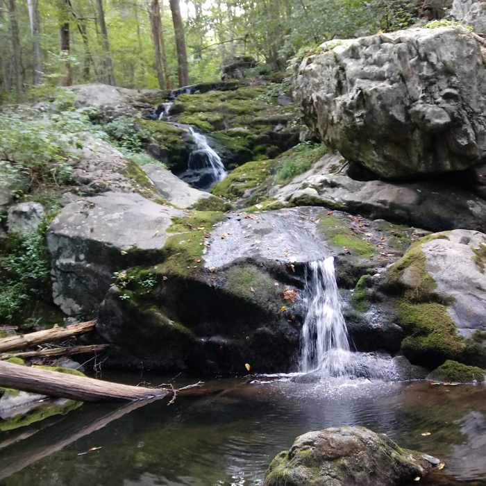 Near Piney Branch Trail
