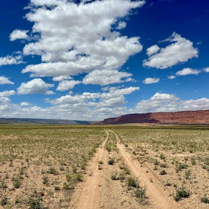 Near Hayduke Trail: Kaibab Bypass Alternate