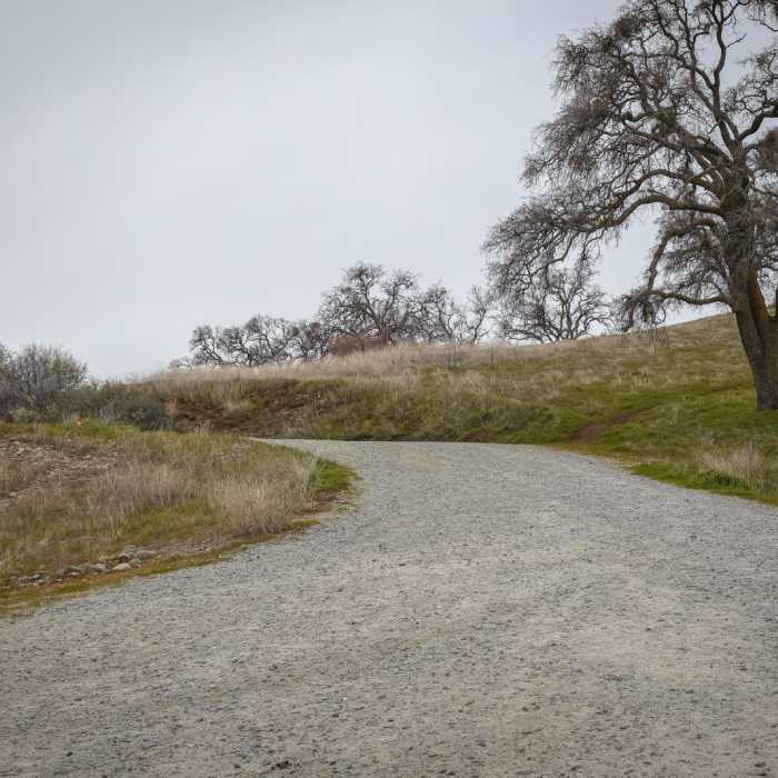 Near Mormon Island Trail