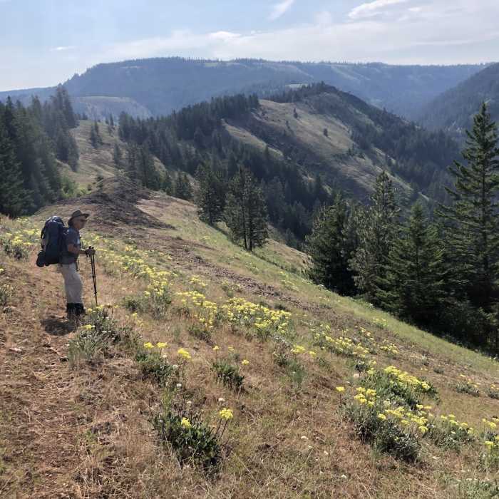 Ninemile Ridge Trail #3072 | Hiking Trail Maps, Difficulty, Trail ...