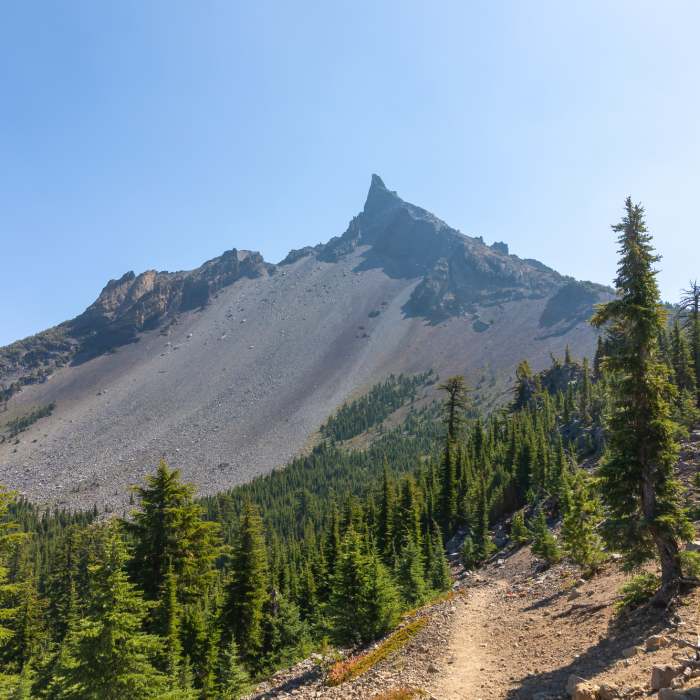 Near Mount Thielsen Trail #1456