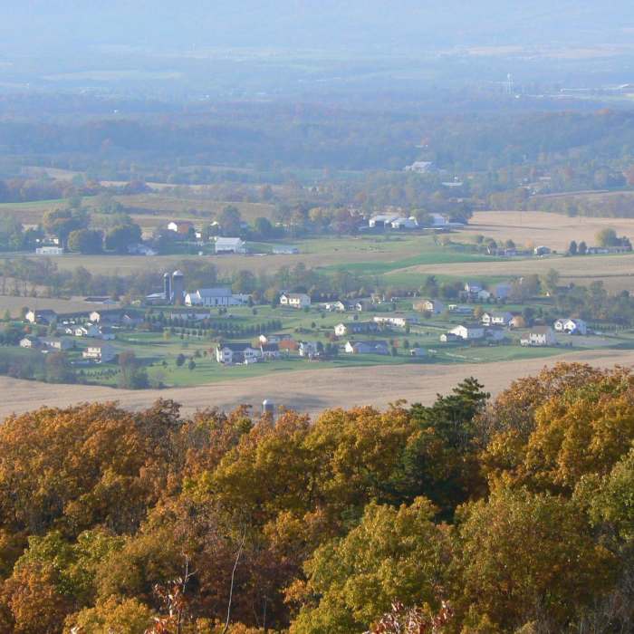 Near Scenic Vista Loop