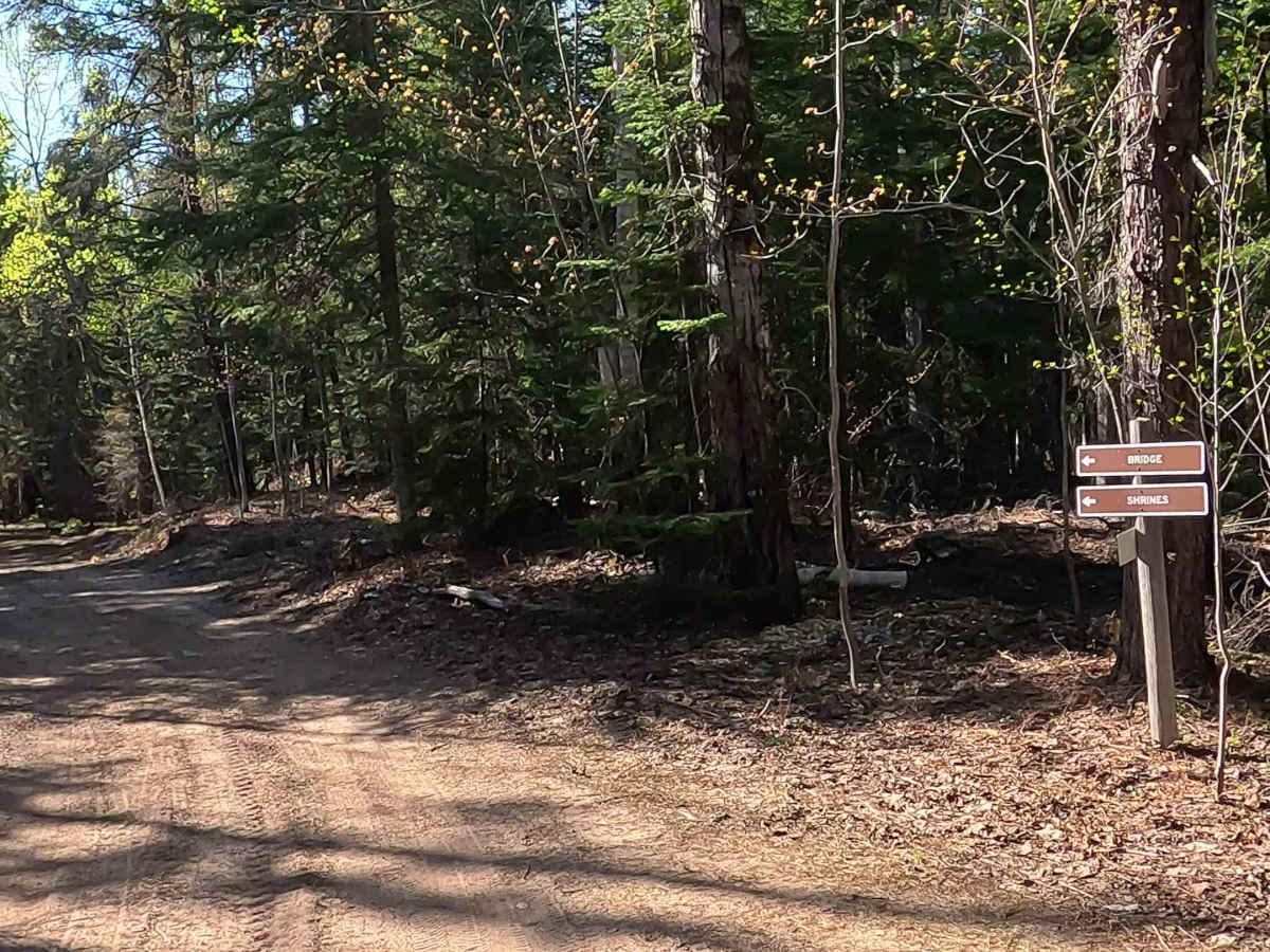 CCL Trail photo 3