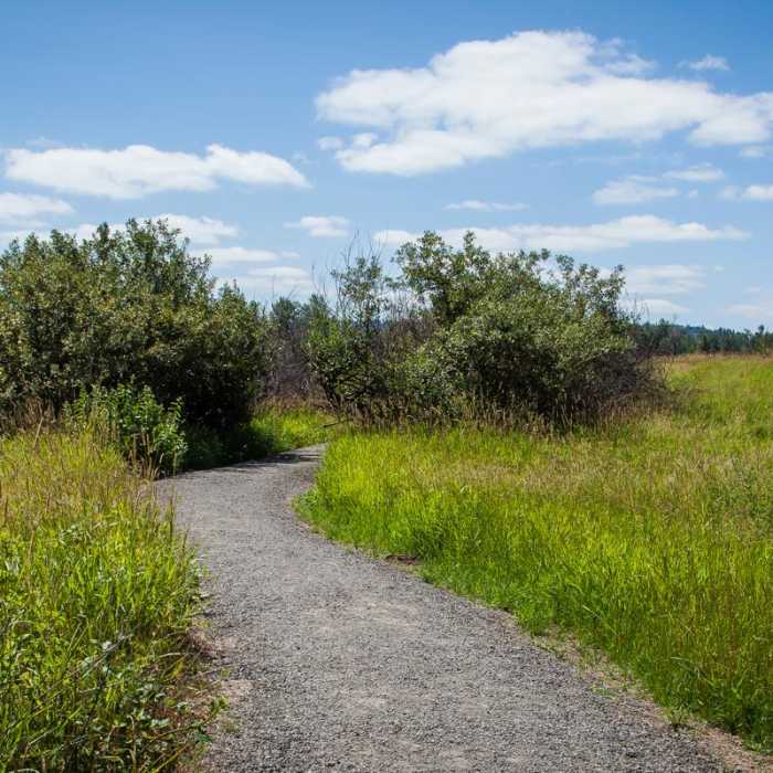 Near Gibbons Creek Wildlife Art Trail