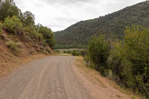 Miller Creek Loop