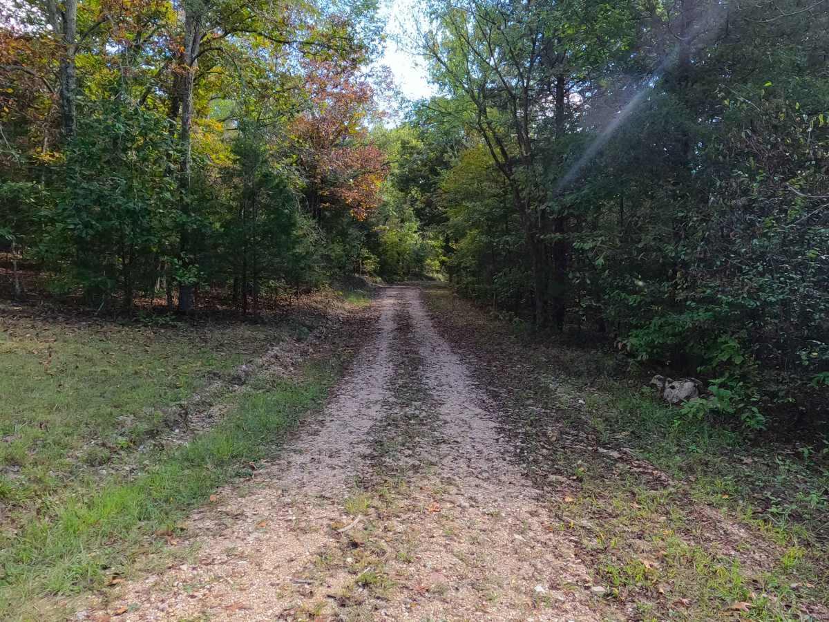 Taum Sauk Cemetery - RCR 205 photo 6